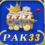 Pak 33 Game